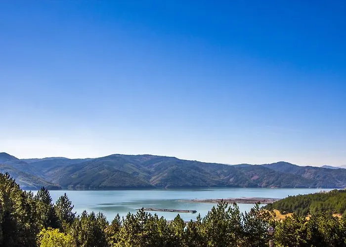 Hotel Family Friends